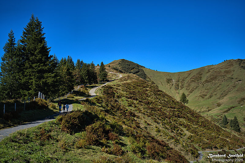 Bernhard Saalfeld - Riedberger Horn (3v9)